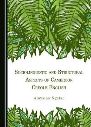 TRANG Research Activities 3